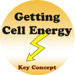 Getting Energy badge