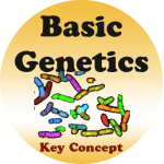 Introduction to Human Genetics badge