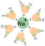 sodium ion in water