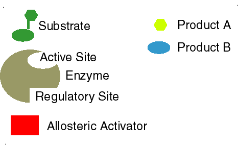 allosteric effect