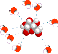 glucose dissolved in water