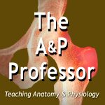The A&P Professor logo