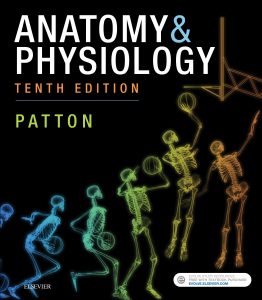 Anatomy & Physiology
