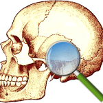 The A&P Student logo